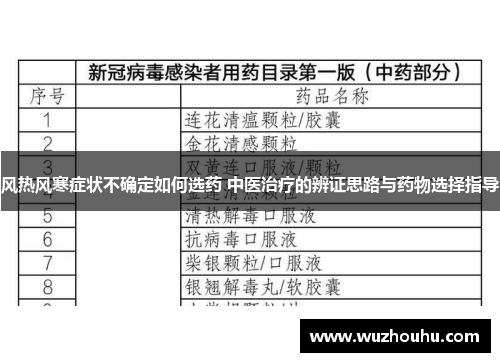 风热风寒症状不确定如何选药 中医治疗的辨证思路与药物选择指导