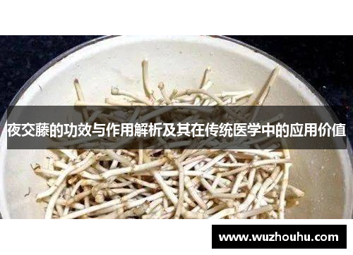 夜交藤的功效与作用解析及其在传统医学中的应用价值